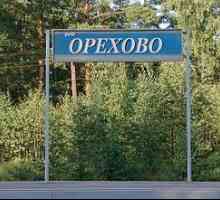 Odmor u Orekhovu (Leningradska regija)