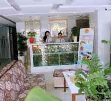 Art Deluxe Hotel 3 *, Nha Trang: Pregled, opis i turistička ponuda