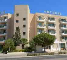 Hotel Artemis Hotel Apartments 3 * (Protaras, Cipar): Pregled, opis, sobe i recenzije