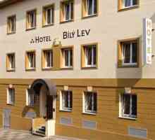 Hotel Bily Lev 3 *, Prag: recenzije, recenzije i ocjene hotela