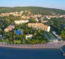 Hotel Delfinia Hotel 4 * (Korfu / Grčka): fotografija i recenzija