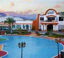 Hotel Gafy Resort 4 * (Sharm El Sheikh)