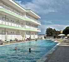 Hotel Nicolas Villa Agia Pelagia 3 * (Grčka, Kreta, Agia Pelagija): opis, usluge, recenzije