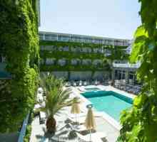 Hotel Olympic Kosma Bomo Club 3 * (Halkidiki, Grčka): slike i recenzije za odmor