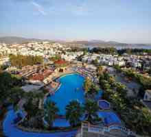 Hotel Palm Garden Hotel 4 * Bodrum, Turska: recenzije
