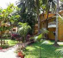 Hotel Palm Resort 2 *, India, Goa: pregled, opis, karakteristike i recenzije