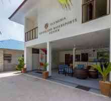 Hotel Plumeria Boutique Guest House 3 *, Maldivi pregled, posebne značajke i recenzije