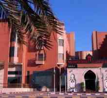 Red Castle Hotel 4 * Sharjah, Ujedinjeni Arapski Emirati: recenzije i fotografije