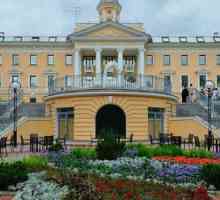 Residence Hotel & SPA (Rusija, Repino) - Pregledajte opis i recenzije turista