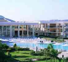 Hotel Royal Azur 5