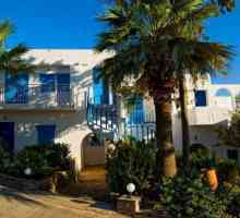 Hotel Selena Village Hotel 3 * (Grčka, Kreta, Elounda): recenzije