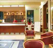 Hotel Virginia Hotel 3 * (Rhodes, Grčka): pregled, sobe i recenzije