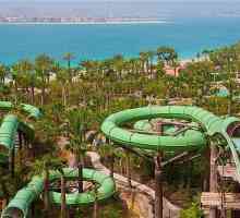 Hoteli u UAE za obitelji s djecom: savjeti za turiste
