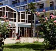 Sukhum, Abkhazia: Pregled i opis, soba i ocjene gostiju
