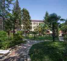 Hoteli u Abhaziju. Abkhazia: hotels all inclusive. Najbolji hoteli u Abhaziji
