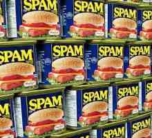 Odakle dolazi riječ "spam"? podrijetlo