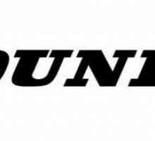 Recenzije o gumama `Dunlop` ljeto. Auto gume Dunlop