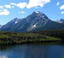 Jezero Athabasca: opis, flora i fauna, ekološki problemi