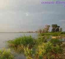 Jezero Bolshoy Kuyash (Chelyabinsk regija): opis, ribolov, rekreacija