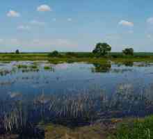 Jezero Dolgoye u Čeljabinskom kraju arheološki je spomenik prirode