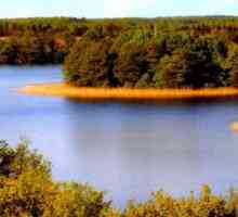 Jezero Krivoye: hidrološka rezerva u Bjelorusiji i gradsko naselje u Ukrajini