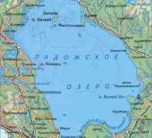 Jezero Ladoga: opis, dubina, reljef, riba