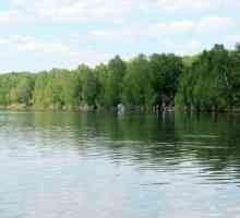 Jezero Linevo (Kurgan regija) - izvrsno mjesto za lov i ribolov