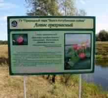 Lotus jezero u regiji Volgograd: opis, priroda, izleti