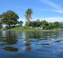 Озеро Никарагуа: описание водоема. Озеро Никарагуа и его страшные обитатели