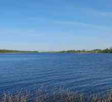 Jezero Orlinskoe: opis rezervoara. Život i flora Orlinskog jezera
