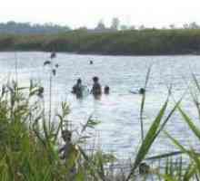 Jezero Pelenkino, terapija blatom: povratne informacije o rezultatu
