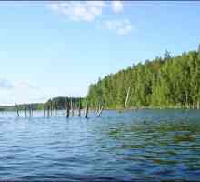 Jezero Pskovskoe: fotografija, rekreacija i ribolov. Pregled ostalih na jezeru Pskov