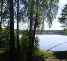 Jezero Tashkul: Rekreacija i ribolov u regiji Chelyabinsk