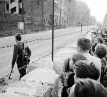 Pad Berlinskog zida. Godina pada Berlinskog zida