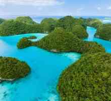 Palau - recenzije turista. Gdje se nalazi Palau? Odmor, turizam