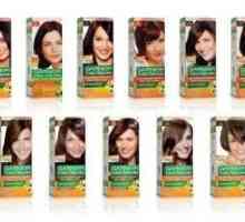 Paleta boja za kosu `Garnier``: izbor savršenstva