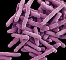 Wand tuberculosis: koliko života, kako se prenosi? Što je tuberkuloza?
