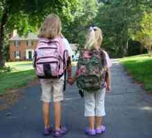 Memorandum mladog pješaka: što treba znati svako dijete?