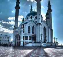 Spomenik `Kazan mačaka`: povijest i opis