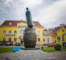 Spomenik `` Krastavca-hranitelja `u Lukhovitsy: opis, adresa i recenzije