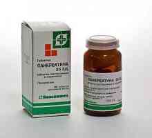 `Pancreatin 25 ED`: upute za uporabu i analoge