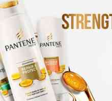 `Pantin `- šampon za kosu (Pantene Pro-V): recenzije. Usporedba s konkurencijom