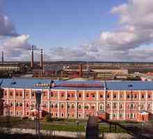 PJSC `Motovilikhinskiye Zavody`, Perm: povijest, opis, proizvodi