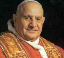 Papa Ivan XXIII: rezultati aktivnosti