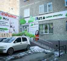 Frizerski saloni Ekaterinburg: recenzije, adrese