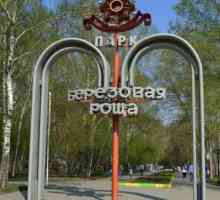 Park `Birch Grove `(Novosibirsk): povijest, pregled, recenzije