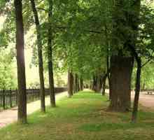 Yubileiny Park (Yaroslavl): prekrasno mjesto za odmor