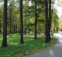Park (Mytishchi) - gradski park kulture i odmora
