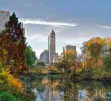Parkovi u New Yorku, SAD: popis, kontakti, povijest i recenzije