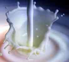 Pasteurizacija mlijeka kod kuće